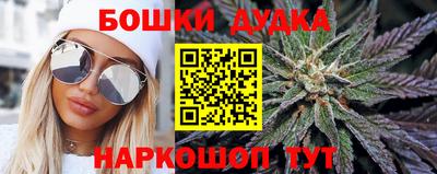 стаф Лесосибирск
