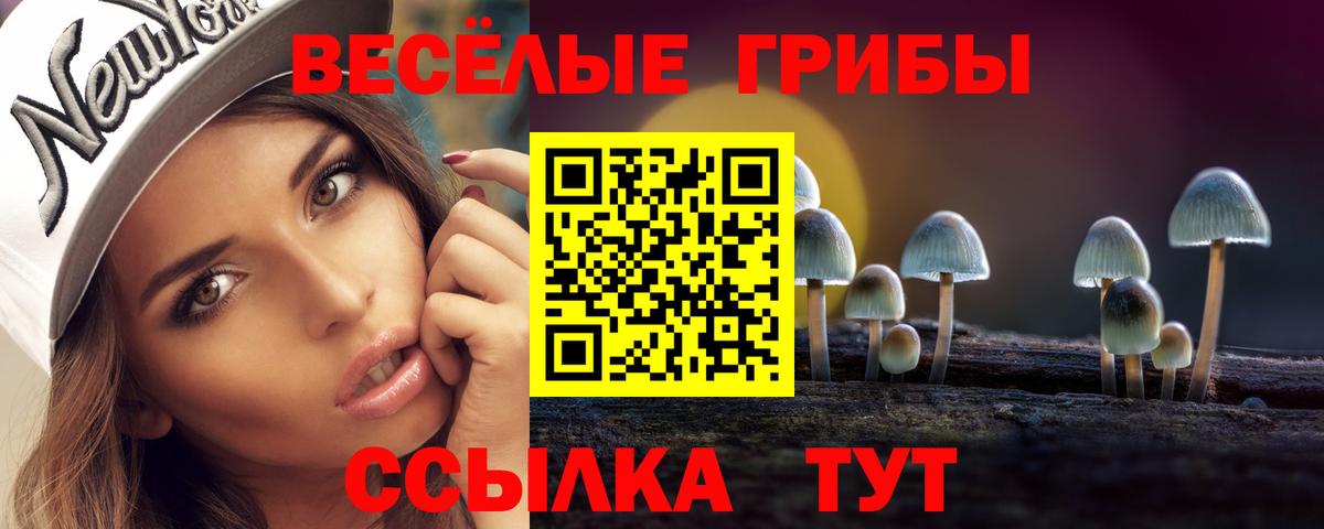 Псилоцибиновые грибы Psilocybe  Вход с VPN  Энгельс  Псилоцибиновые грибы мицелий 
